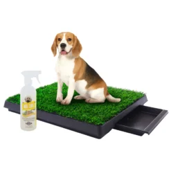 Coziwow By Jaxpety Indoor Grass Potty Dog Pee Turf With Drawer & PetSafe Pet Loo Wee Care Enzyme Cleaner