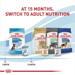 Royal Canin Size Health Nutrition Large Puppy Thin Slices In Gravy Wet Dog Food, 13-oz Can, Case Of 6 -Pawsphoria Sales Store 950334 PT5. AC SS1800 V1693497982