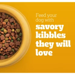 Pedigree High Protein Beef & Lamb Flavor Dog Kibble Adult Dry Dog Food 12 Pedigree High Protein Beef & Lamb Flavor Dog Kibble Adult Dry Dog Food -Pawsphoria Sales Store 958998 PT3. AC SS1800 V1695064035