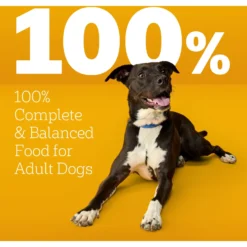 Pedigree High Protein Beef & Lamb Flavor Dog Kibble Adult Dry Dog Food 17 Pedigree High Protein Beef & Lamb Flavor Dog Kibble Adult Dry Dog Food -Pawsphoria Sales Store 958998 PT8. AC SS1800 V1695064033