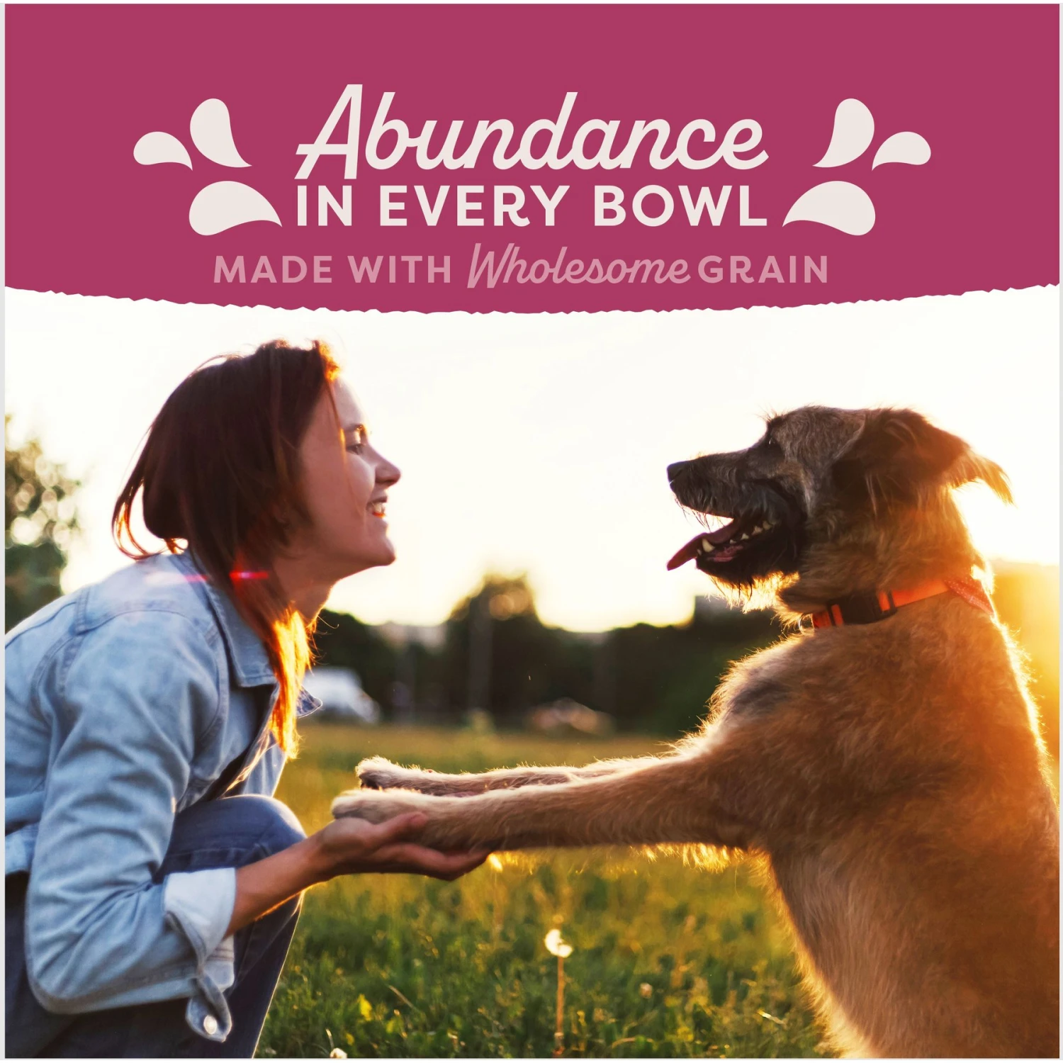 Natural Balance Fat Dogs Chicken & Salmon Formula Low Calorie Dry Dog Food 6 Natural Balance Fat Dogs Chicken & Salmon Formula Low Calorie Dry Dog Food - Image 6