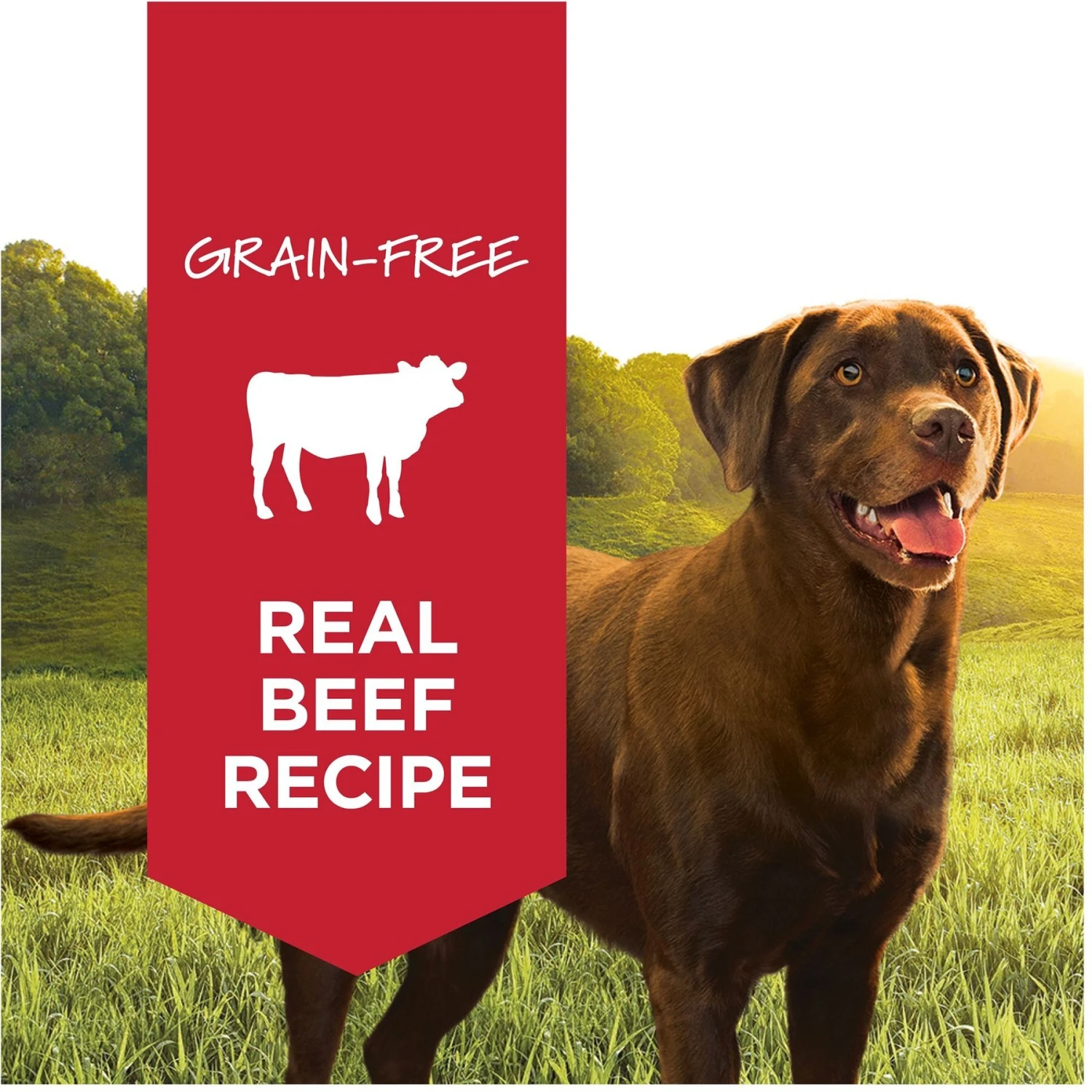 Instinct Original Grain-Free Real Beef Recipe Natural Wet Canned Dog Food & Instinct Original Grain-Free Real Chicken Recipe Natural Wet Canned Dog Food 5 Instinct Original Grain-Free Real Beef Recipe Natural Wet Canned Dog Food & Instinct Original Grain-Free Real Chicken Recipe Natural Wet Canned Dog Food - Image 5