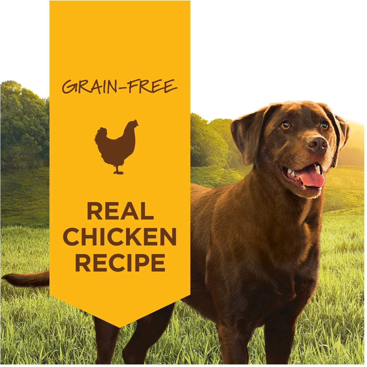 Instinct Original Grain-Free Real Beef Recipe Natural Wet Canned Dog Food & Instinct Original Grain-Free Real Chicken Recipe Natural Wet Canned Dog Food 9 Instinct Original Grain-Free Real Beef Recipe Natural Wet Canned Dog Food & Instinct Original Grain-Free Real Chicken Recipe Natural Wet Canned Dog Food - Image 9