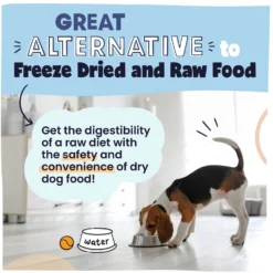 Pawstruck Chicken Recipe Grain-Free Air Dried Dog Food 14 Pawstruck Chicken Recipe Grain-Free Air Dried Dog Food -Pawsphoria Sales Store 971950 PT5. AC SS1800 V1700170101