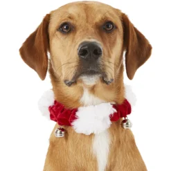 Frisco Holiday Dog & Cat Santa Hat, 1 Count & Frisco Jingle Bells Dog & Cat Holiday Collar With Bells, 1 Count 16 Frisco Holiday Dog & Cat Santa Hat, 1 Count & Frisco Jingle Bells Dog & Cat Holiday Collar With Bells, 1 Count -Pawsphoria Sales Store 986254 PT7. AC SS1800 V1698258115