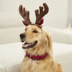Frisco Jingle Bells Dog & Cat Holiday Collar With Bells, 1 Count & Frisco Holiday Antler Headband & Bell Collar Dog & Cat Costume -Pawsphoria Sales Store 986294 PT7. AC SS1800 V1698258404