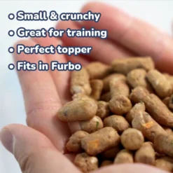 Healthybud Beef Meal Bites Freeze-Dried Dog Food, 14-oz Bag -Pawsphoria Sales Store 992558 PT4. AC SS1800 V1702938490