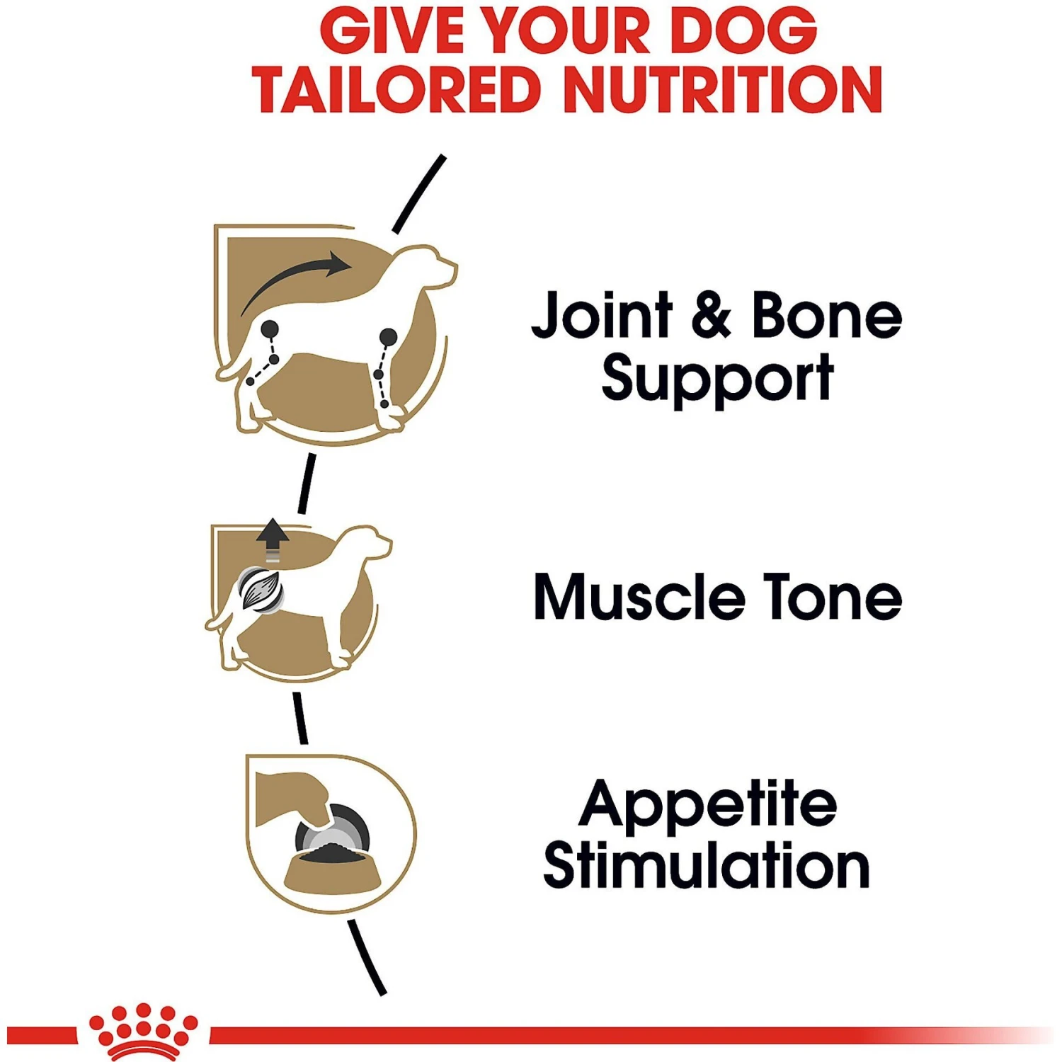 Royal Canin Breed Health Nutrition Dachshund Adult Loaf In Sauce Canned Dog Food 3 Royal Canin Breed Health Nutrition Dachshund Adult Loaf In Sauce Canned Dog Food - Image 3