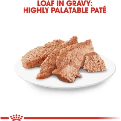 Royal Canin Breed Health Nutrition Dachshund Adult Loaf In Sauce Canned Dog Food 14 Royal Canin Breed Health Nutrition Dachshund Adult Loaf In Sauce Canned Dog Food -Pawsphoria Sales Store 99665 PT5. AC SS1800 V1592848042