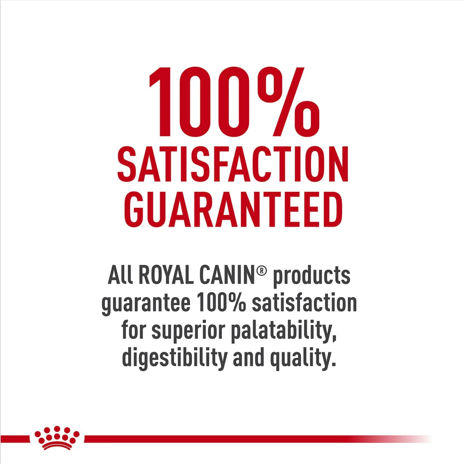 Royal Canin Breed Health Nutrition Dachshund Adult Loaf In Sauce Canned Dog Food 9 Royal Canin Breed Health Nutrition Dachshund Adult Loaf In Sauce Canned Dog Food - Image 9