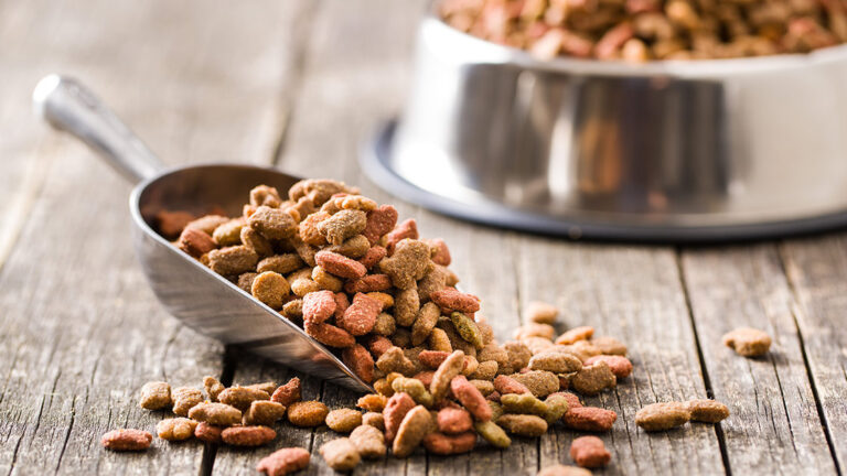 Pawsphoria Sales Store -Pawsphoria Sales Store croquette chien 768x432 1